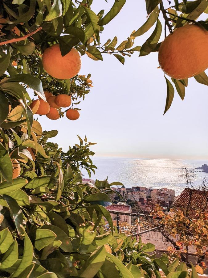 Apartman Lana Petrovac Εξωτερικό φωτογραφία